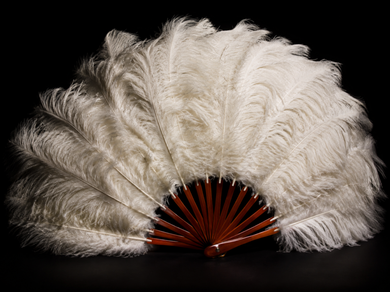 abanico de plumas burlesque